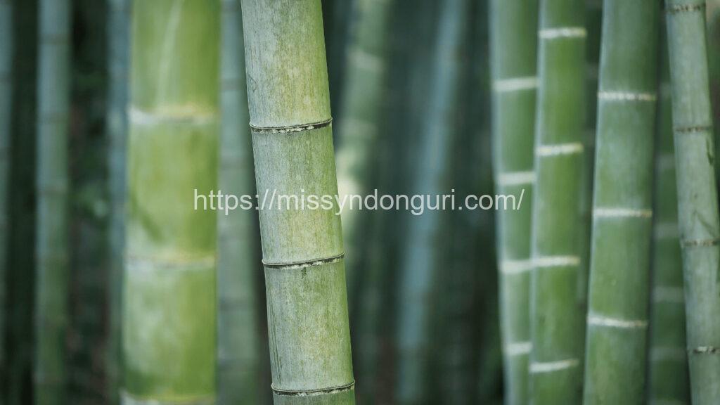 漢字kanji 竹 たけ take bambú bamboo 05